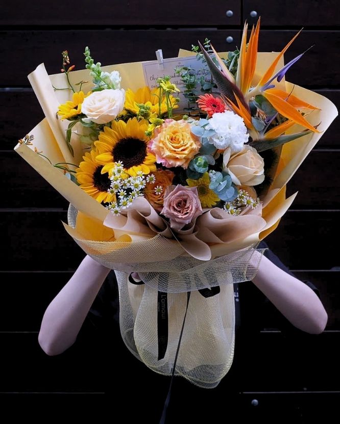 hoa hướng dương hoa hướng dương